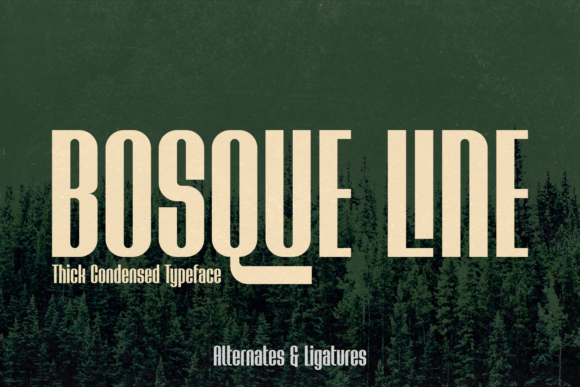 Bosque Line: A Display Font That Breathes With Your Content