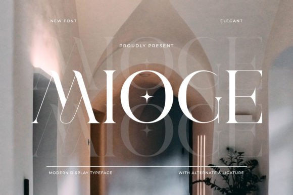 Mioge: A Modern Display Font That Elevates Real Branding Work