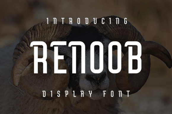 Renoob: A Display Font That Makes Branding Feel Alive